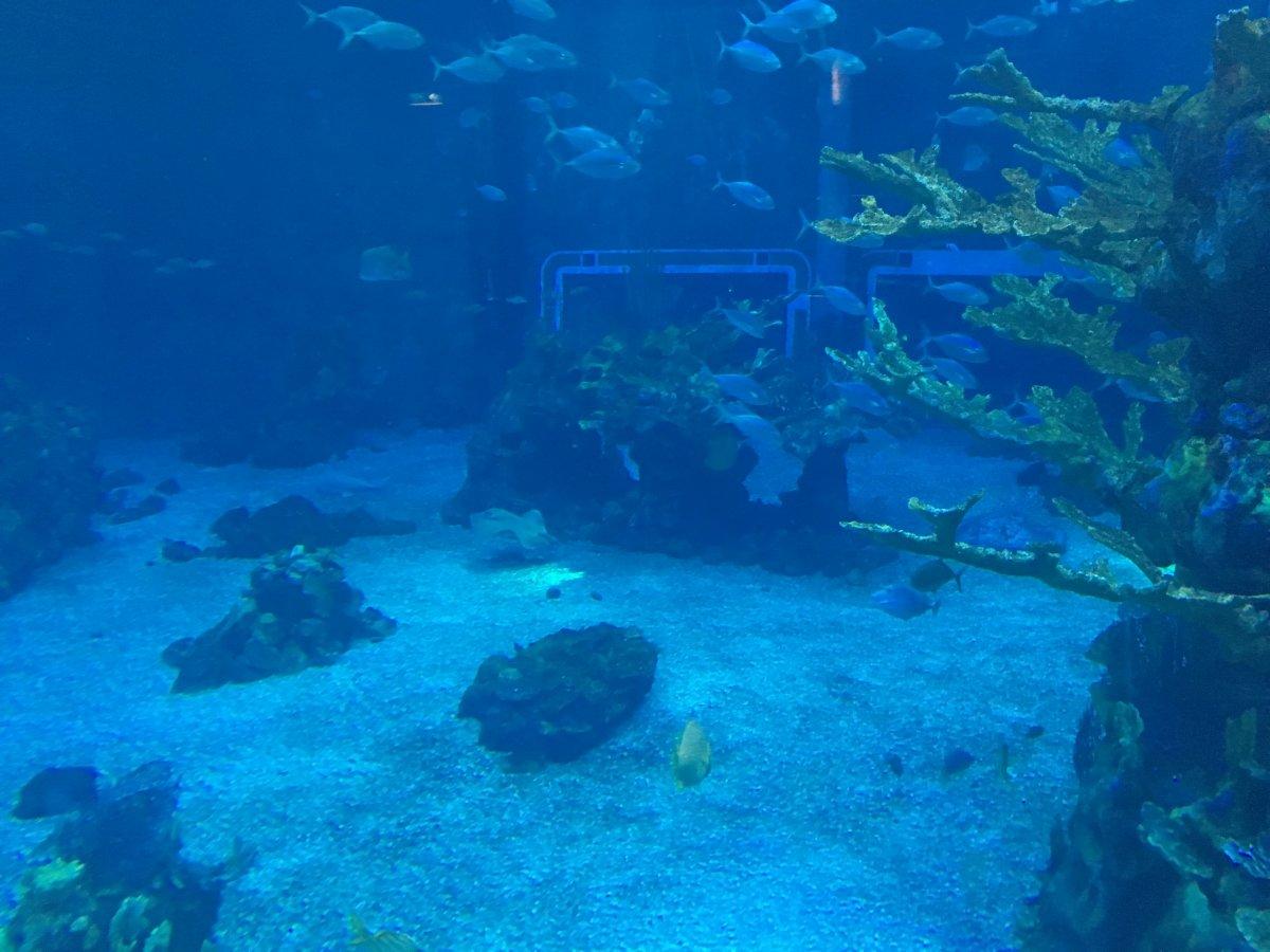 IMG_8942.JPG