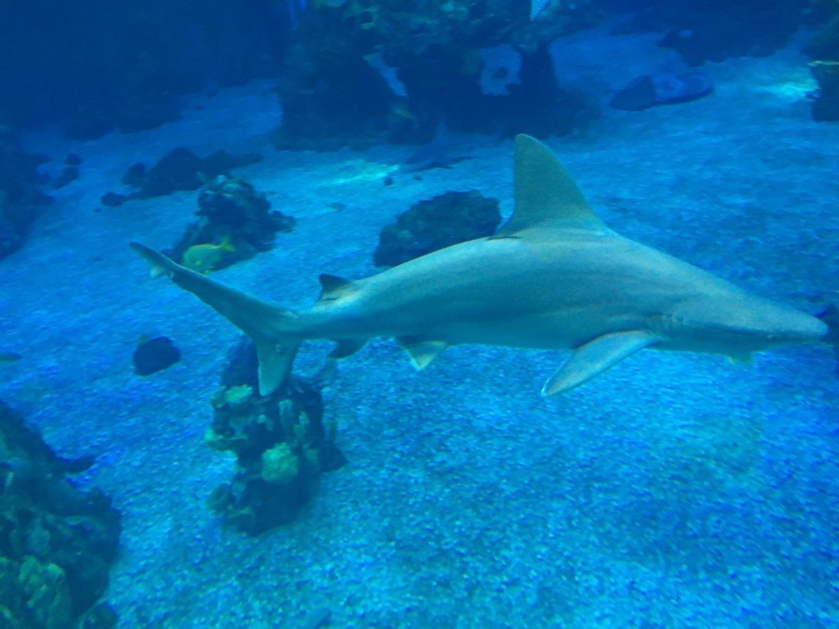 IMG_8944.JPG