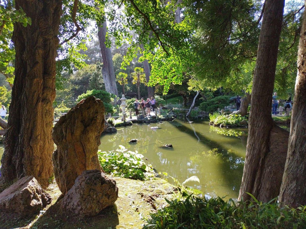 Japanischer_Teegarten_13.jpg