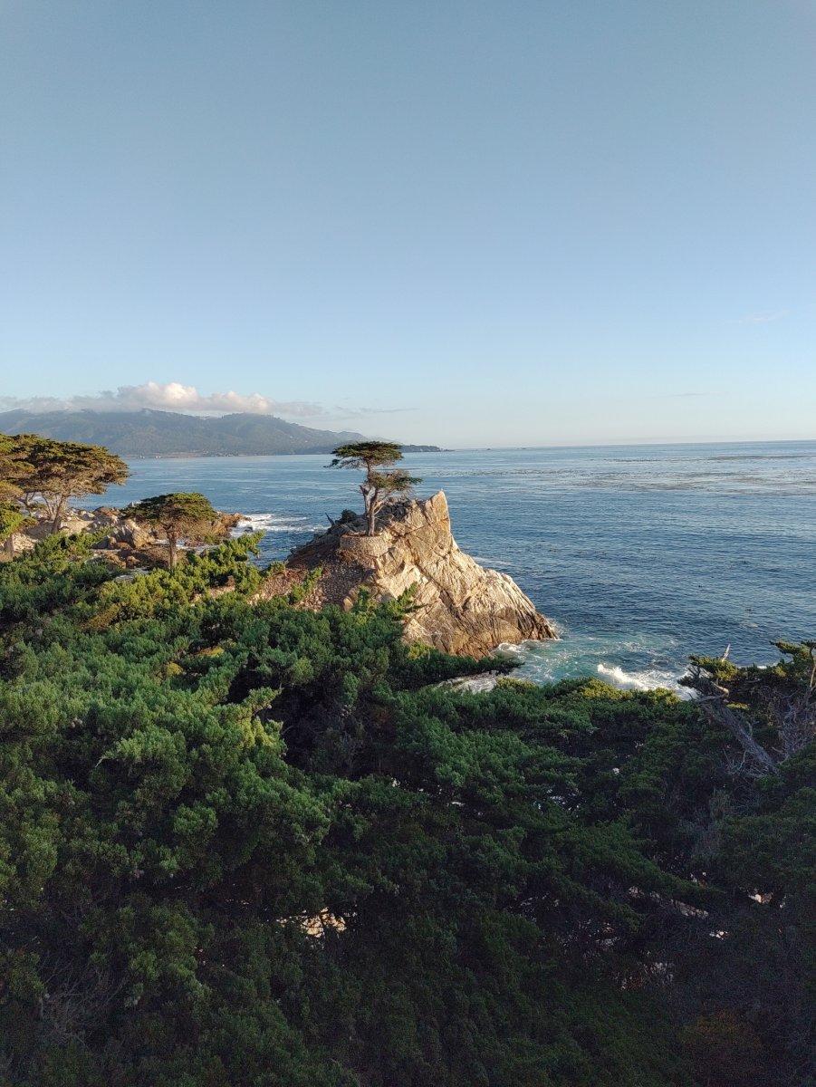 Lone_Cypress_02.jpg
