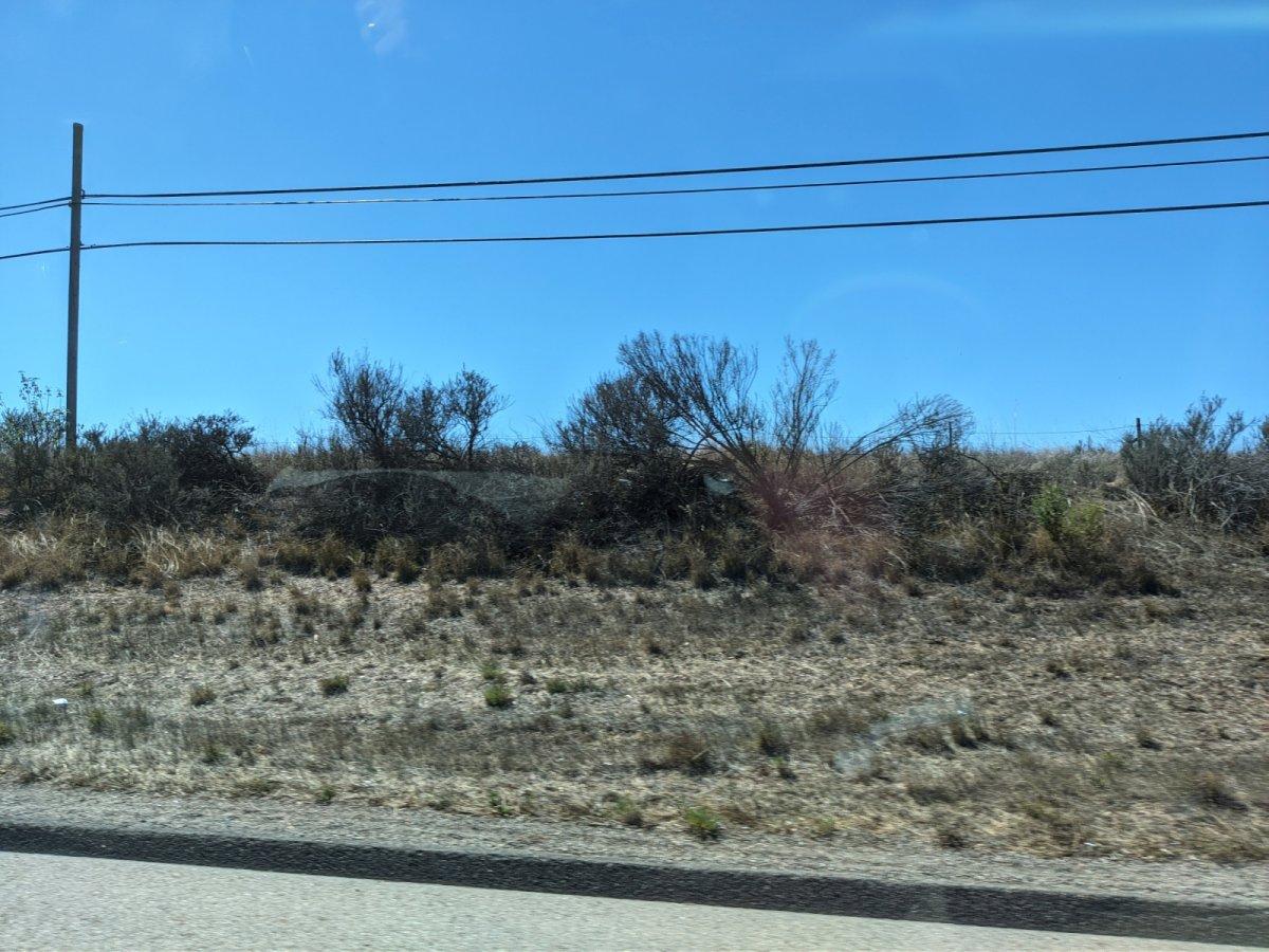 Pacific_Coast_Highway_06.jpg