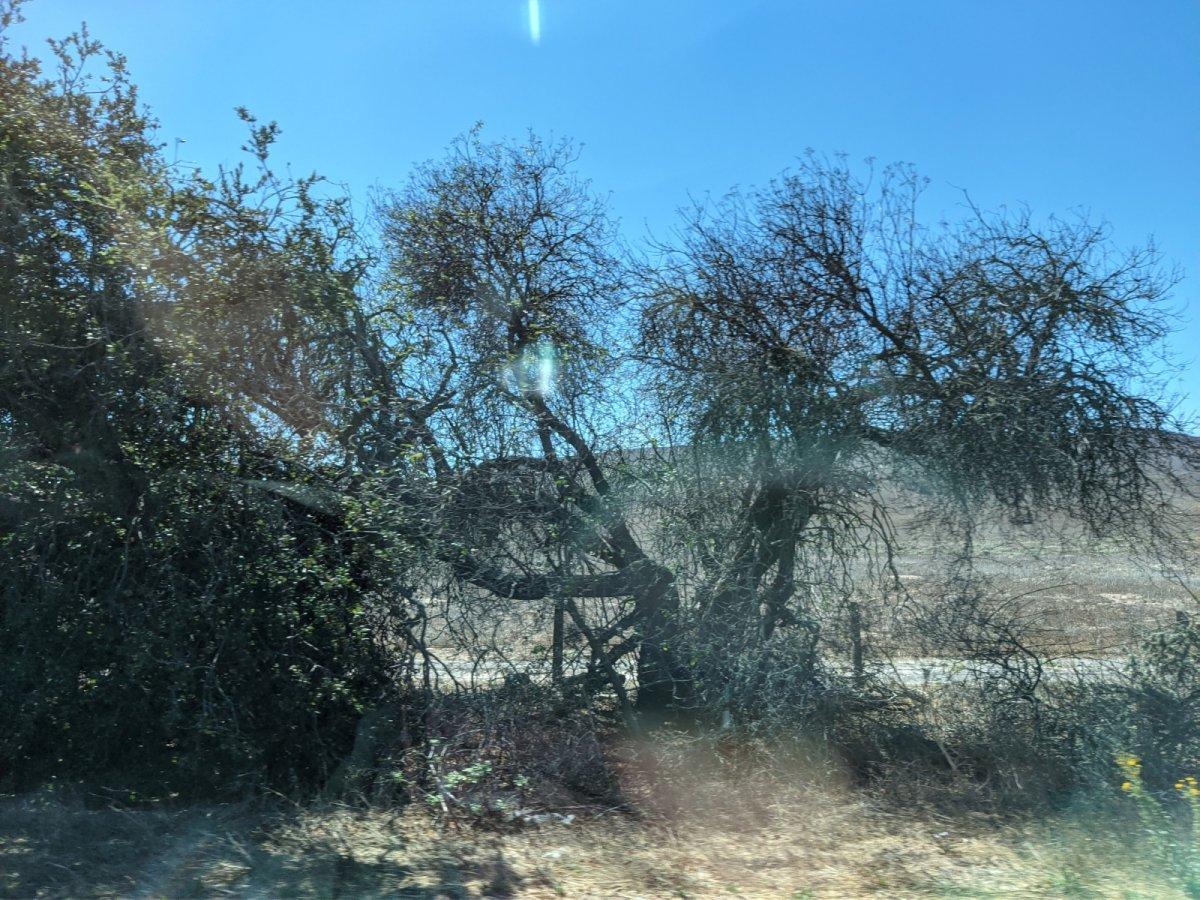 Pacific_Coast_Highway_07.jpg