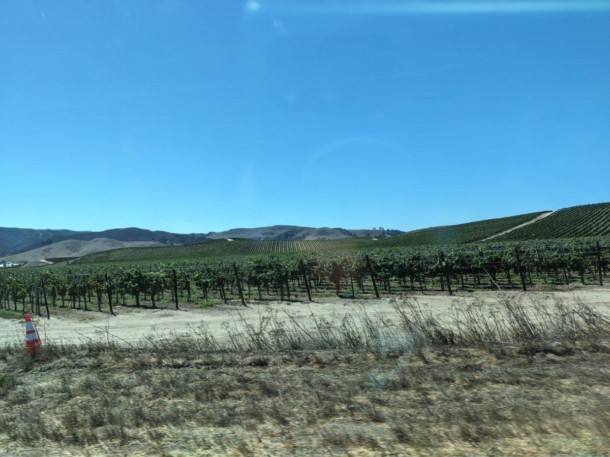 Pacific_Coast_Highway_09.jpg