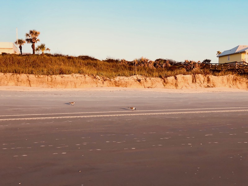 St. Augustine