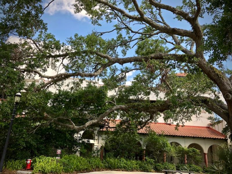 St. Augustine