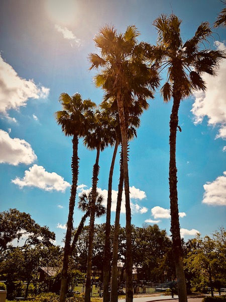 St. Augustine