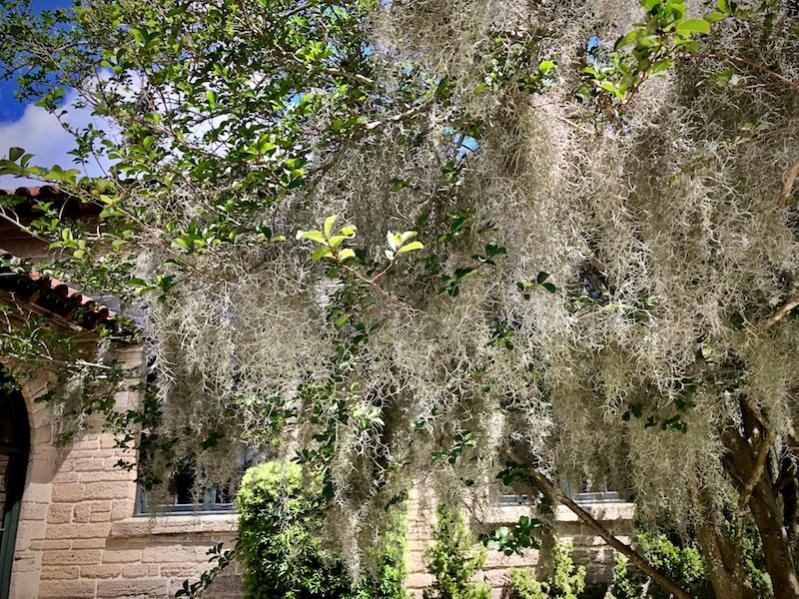 St. Augustine