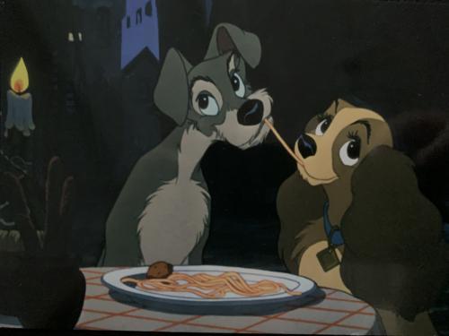 Susi & Strolch, Österreich