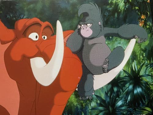 Tarzan, Frankreich
