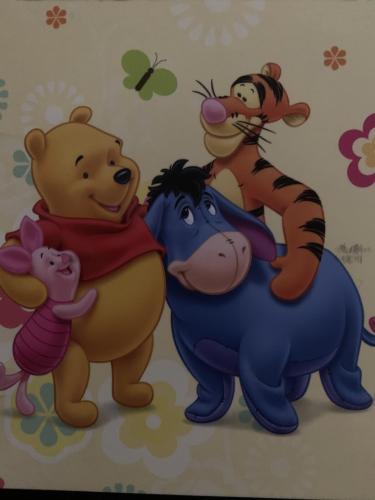 Winnie Pooh, Finnland